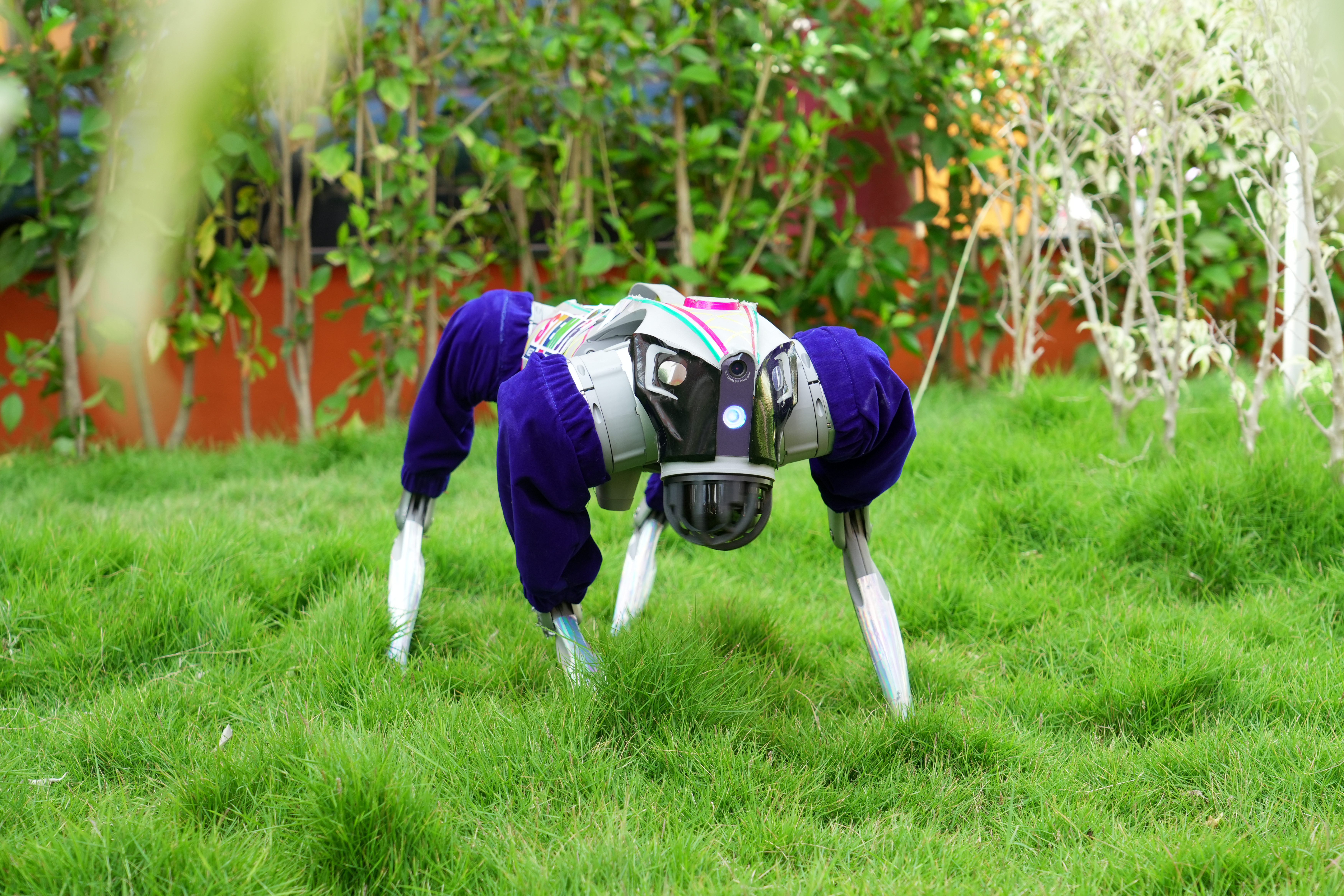 Robot Dog Adventures